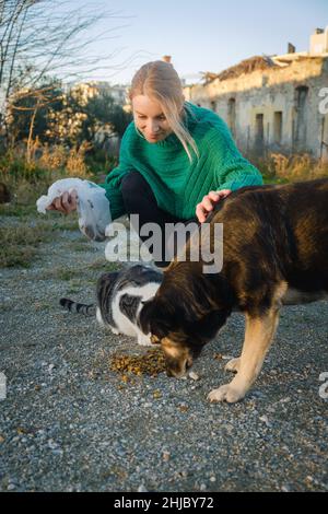 Donna che alimenta gatto di strada e cane. Foto Stock