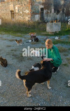 Donna che alimenta gatto di strada e cane. Foto Stock