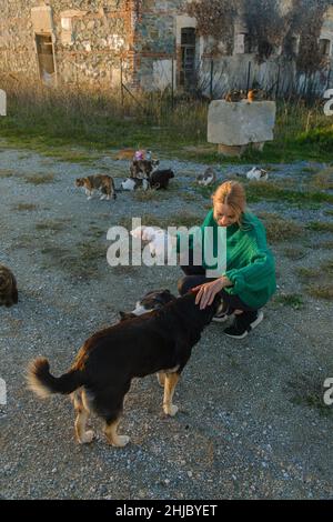 Donna che alimenta gatto di strada e cane. Foto Stock