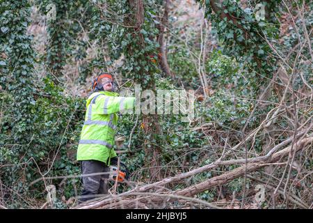 28 gennaio 2022, Sassonia-Anhalt, Bad Dürrenberg: Un operatore forestale lavora per sgombrare il pendio Saale per il prossimo spettacolo dei giardini statali (Laga). Dopo che la crescita selvaggia è rimossa, piantando nuovo è progettato per contenere erosione futura. La Laga si svolgerà da aprile a ottobre 2023 su una superficie di circa 15 ettari. Il cuore del sito è il parco termale. La casa di laurea si trova anche lì. Foto: Jan Woitas/dpa-Zentralbild/ZB Foto Stock