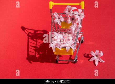 Carrello giocattolo, fiori di giacinto rosa su sfondo rosso brillante. San Valentino, compleanno, vendite stagionali, sconti nei centri commerciali. Fiore Foto Stock