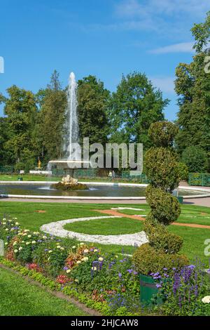 Peterhof, fontana 'Italiano' (la prima 'Bowla') nel mezzo di grandi aiuole fiorite nel parterre vicino al Grand Palace Foto Stock