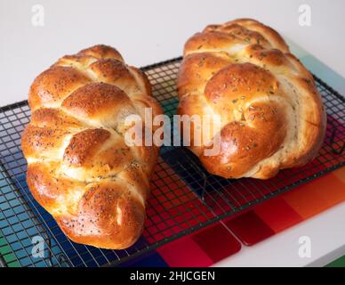 Vista dall'alto di due focacce di pane Ebreo Challa cucinate in casa, raffreddando su vassoio di filo. Una con semi di papavero e l'altra con rosmarino. Foto Stock