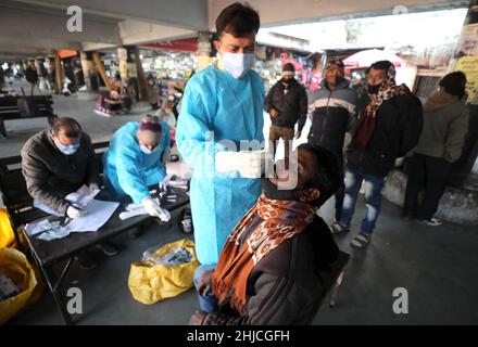 Jammu, Kashmir controllato dall'India. 28th Jan 2022. Un operatore sanitario prende campione di tampone di un passeggero di autobus per il test COVID-19 in mezzo a un picco nei casi COVID-19 a Jammu, la capitale invernale del Kashmir indiano-controllato, il 28 gennaio 2022. Credit: Str/Xinhua/Alamy Live News Foto Stock