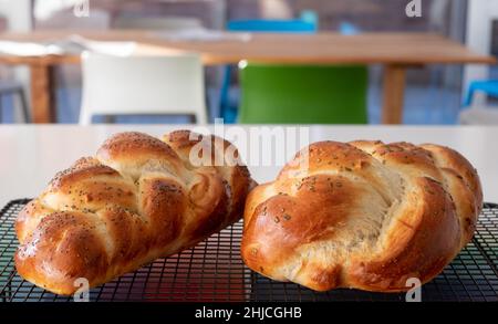 Due pani di pane della Challah ebraica cucinati in casa, rinfrescanti su un vassoio di filo. Uno è sormontato con semi di papavero e l'altro con rosmarino. Foto Stock