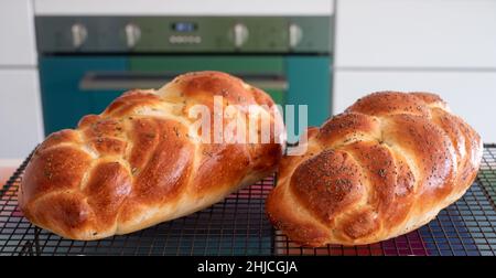 Due pani di pane della Challah ebraica cucinati in casa, rinfrescanti su un vassoio di filo. Uno è sormontato con semi di papavero e l'altro con rosmarino. Foto Stock