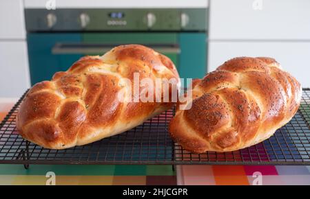 Due pani di pane della Challah ebraica cucinati in casa, rinfrescanti su un vassoio di filo. Uno è sormontato con semi di papavero e l'altro con rosmarino. Foto Stock