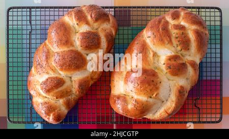 Vista dall'alto di due focacce di pane Ebreo Challa cucinate in casa, raffreddando su vassoio di filo. Una con semi di papavero e l'altra con rosmarino. Foto Stock