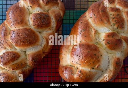 Vista dall'alto di due focacce di pane Ebreo Challa cucinate in casa, raffreddando su vassoio di filo. Una con semi di papavero e l'altra con rosmarino. Foto Stock