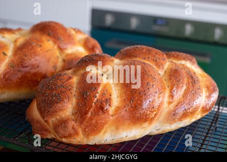 Due pani di pane della Challah ebraica cucinati in casa, rinfrescanti su un vassoio di filo. Uno è sormontato con semi di papavero e l'altro con rosmarino. Foto Stock