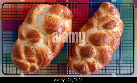 Vista dall'alto di due focacce di pane Ebreo Challa cucinate in casa, raffreddando su vassoio di filo. Una con semi di papavero e l'altra con rosmarino. Foto Stock