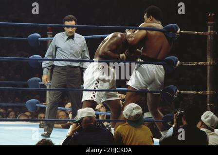 Muhammad Ali (nato nel 1942) combatte Joe Frazier (nato nel 1944) il 8 marzo 1971 a Madison Square Garden, New York City. La 'lotta del secolo' fu una partita tra il campione Frazier e lo sfidante Ali. Frazier ha vinto. Foto Stock