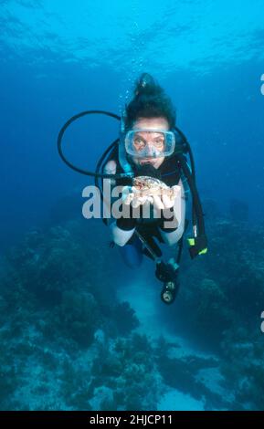 Dr. Sylvia Earle, tenendo un granchio, immersioni subacquee al largo delle Florida Keys. Il dottor Earle era una volta il capo scienziato della US National Oceanic and Atmospheric Administration (NOAA). Foto Stock