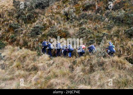 I facchini Inca trasportano i bagagli dei turisti e le strutture di campeggio durante il percorso Inca Trek a Machu Picchu, Perù Foto Stock