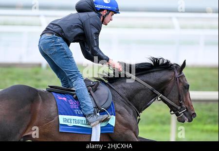 Hallandale Beach, Florida, Stati Uniti. 28th Jan 2022. 28 gennaio 2022: Esercizi per i viaggiatori di spazio durante la settimana di allenamento della Coppa del mondo Pegasus al Gulfstream Park di Hallandale Beach, Florida. Scott Serio/Eclipse Sportswire/CSM/Alamy Live News Foto Stock