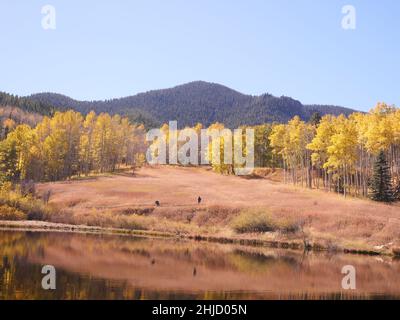 San Isabel Lake, Rye, Colorado - Dreamscape vicino al lago Foto Stock