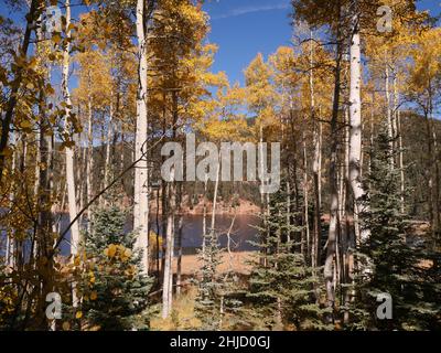 San Isabel Lake, Rye, Colorado- Foto Stock