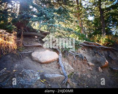 San Isabel Lake, Rye, Colorado- Foto Stock