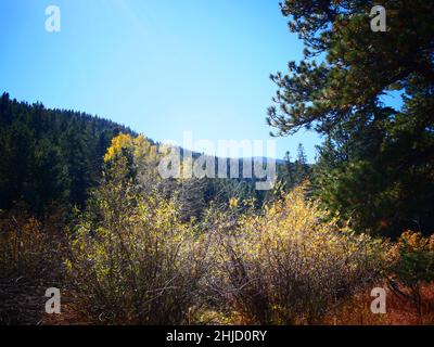 San Isabel Lake, Rye, Colorado- Foto Stock