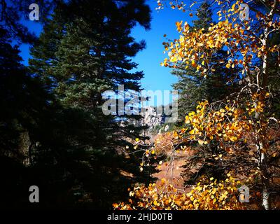 San Isabel Lake, Rye, Colorado- Foto Stock