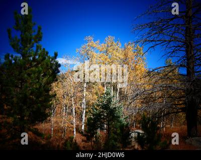 San Isabel Lake, Rye, Colorado- Foto Stock