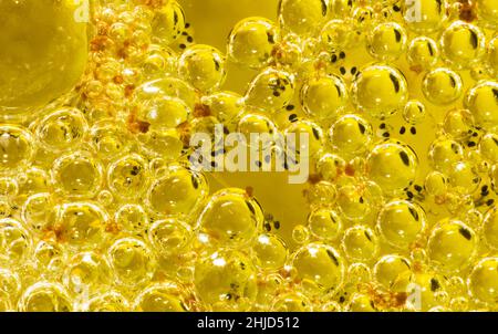 Un più bubblenest da un pesce combattente Betta contenente molti bambini Betta friggere Foto Stock