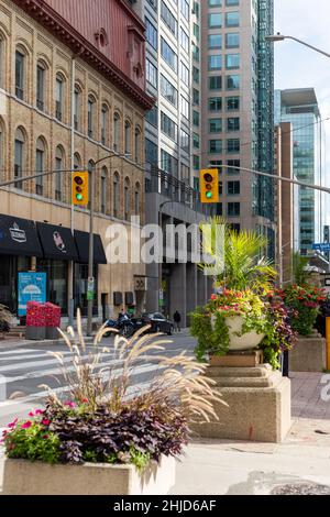 Ottawa, Canada - 14 ottobre 2021: Vista città con fiori, crocevia e semafori nel centro della città. Foto Stock