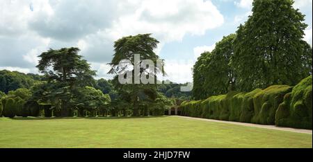 Giardino in Montacute House mostra inusuali siepi ondulati Foto Stock