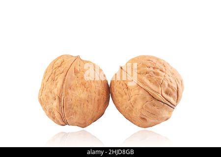 due noci in primo piano isolato su sfondo bianco Foto Stock