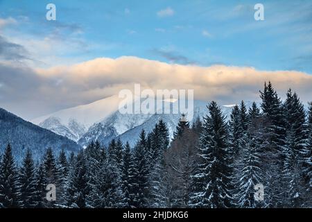 Paesaggio invernale coperto di neve nella montagna occidentale Tatra, Slovacchia, Europa. Foto Stock