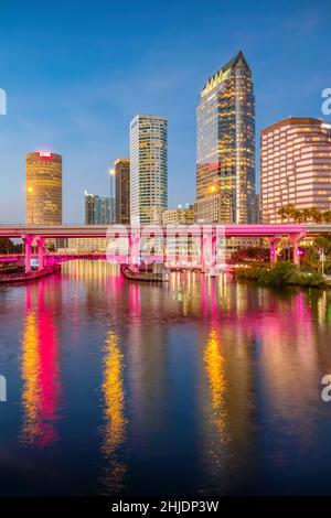 Skyline del centro di Tampa, Florida, USA di notte Foto Stock