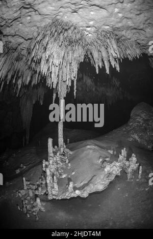 Queste impressionanti stalattiti e stalagmiti si formarono durante un periodo di mare inferiore mentre l'acqua piovana attraversava il fondo della foresta di calcare, creando un i Foto Stock