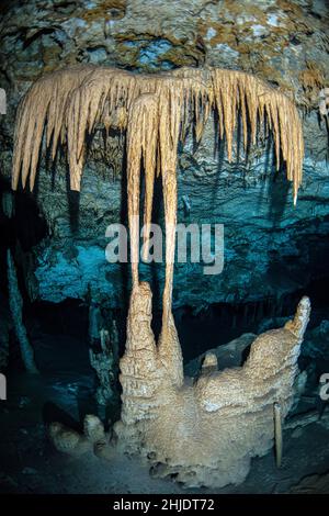 Queste impressionanti stalattiti e stalagmiti si formarono durante un periodo di mare inferiore mentre l'acqua piovana attraversava il fondo della foresta di calcare, creando un i Foto Stock