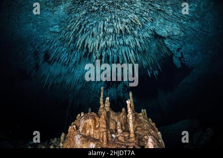 Queste impressionanti stalattiti e stalagmiti si formarono durante un periodo di mare inferiore mentre l'acqua piovana attraversava il fondo della foresta di calcare, creando un i Foto Stock