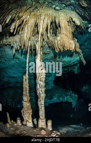 Queste impressionanti stalattiti e stalagmiti si formarono durante un periodo di mare inferiore mentre l'acqua piovana attraversava il fondo della foresta di calcare, creando un i Foto Stock