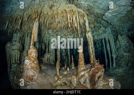 Queste impressionanti stalattiti e stalagmiti si formarono durante un periodo di mare inferiore mentre l'acqua piovana attraversava il fondo della foresta di calcare, creando un i Foto Stock