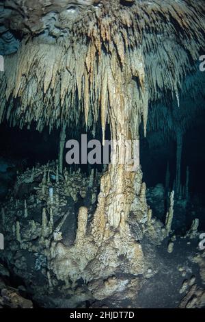 Queste impressionanti stalattiti e stalagmiti si formarono durante un periodo di mare inferiore mentre l'acqua piovana attraversava il fondo della foresta di calcare, creando un i Foto Stock