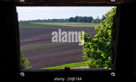 Un bunker sulla linea Stalin nel distretto di Minsk (Bielorussia). Vista dall'interno attraverso l'abbraccio. La linea di fortificazioni lungo l'ovest Foto Stock