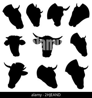 Raccolta di teste di vacca diverse isolate su bianco Foto Stock