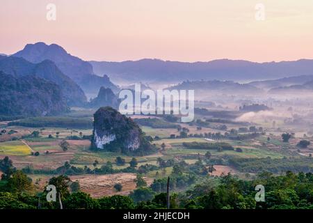 Phu Langka durante l'alba Thailandia del Nord in montagna, mattina vista paesaggio del parco di foresta di montagna Phu Langka nella provincia di Phayao Thailandia. Asia Foto Stock