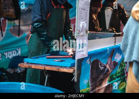 Uccidendo carpa per strada. Tradizionale pasto di Natale ceco a Praga, Repubblica Ceca. Foto Stock