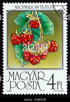 UNGHERIA - CIRCA 1986: Un francobollo stampato in Ungheria dal numero 'frutti' mostra lamponi, circa 1986. Foto Stock