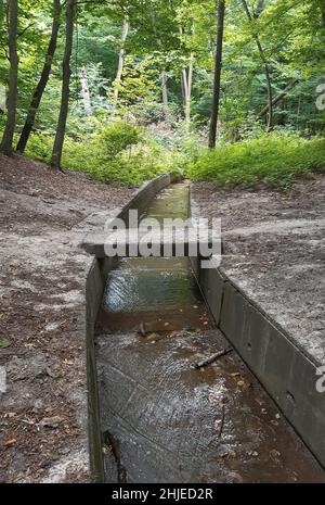 Sistema di drenaggio nella foresta per drenare l'acqua piovana. Un flusso scorre lungo il fondo Foto Stock