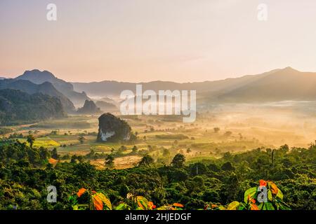 Phu Langka durante l'alba Thailandia del Nord in montagna, mattina vista paesaggio del parco di foresta di montagna Phu Langka nella provincia di Phayao Thailandia. Asia Foto Stock