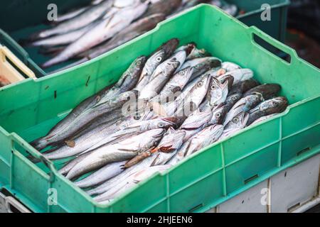 Merluzzo appena pescato o baccelli in cassette di plastica su una barca di legno da pesca pronta per essere venduto al mercato del pesce Foto Stock