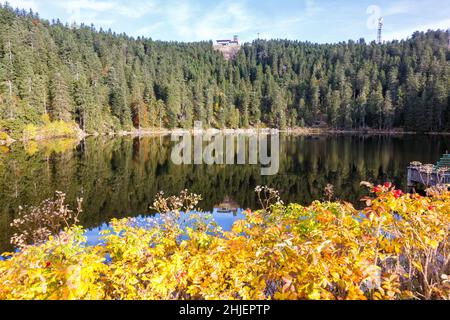 Mummelsee lago e montagna Hornisgrinde a Seebach nel paesaggio della Foresta Nera natura autunno nel parco della Germania Foto Stock