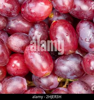 Uve rosse uva frutta sfondo frutta da sopra quadrato fresco Foto Stock