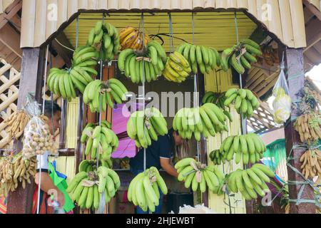 Banane verdi e altri frutti esposti in bancarella di frutta. Photo taken in Benguet, Philippines on November 23, 2019. Foto Stock