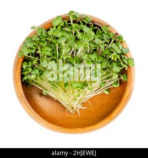 Mostarda nera verde, in una ciotola di legno. Foglie giovani, germogli e cotiledoni di Brassica nigra, un'erba commestibile, utilizzata come salubre guarnitura per insalata. Foto Stock