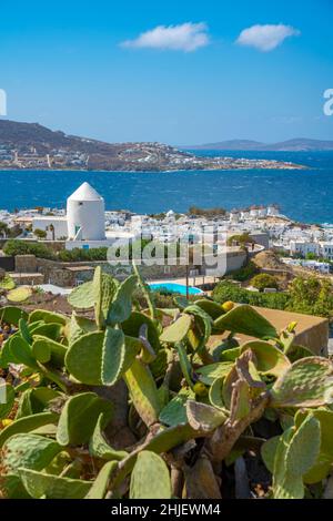 Vista elevata dei mulini di farina e della città, Mykonos Town, Mykonos, Isole Cicladi, Isole Greche, Mar Egeo, Grecia, Europa Foto Stock